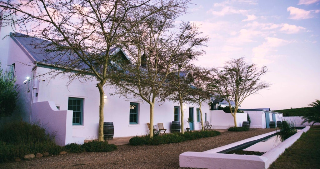 Shiraz Estate Villa & Studios, Riebeek-Kasteel, lekkeslaap