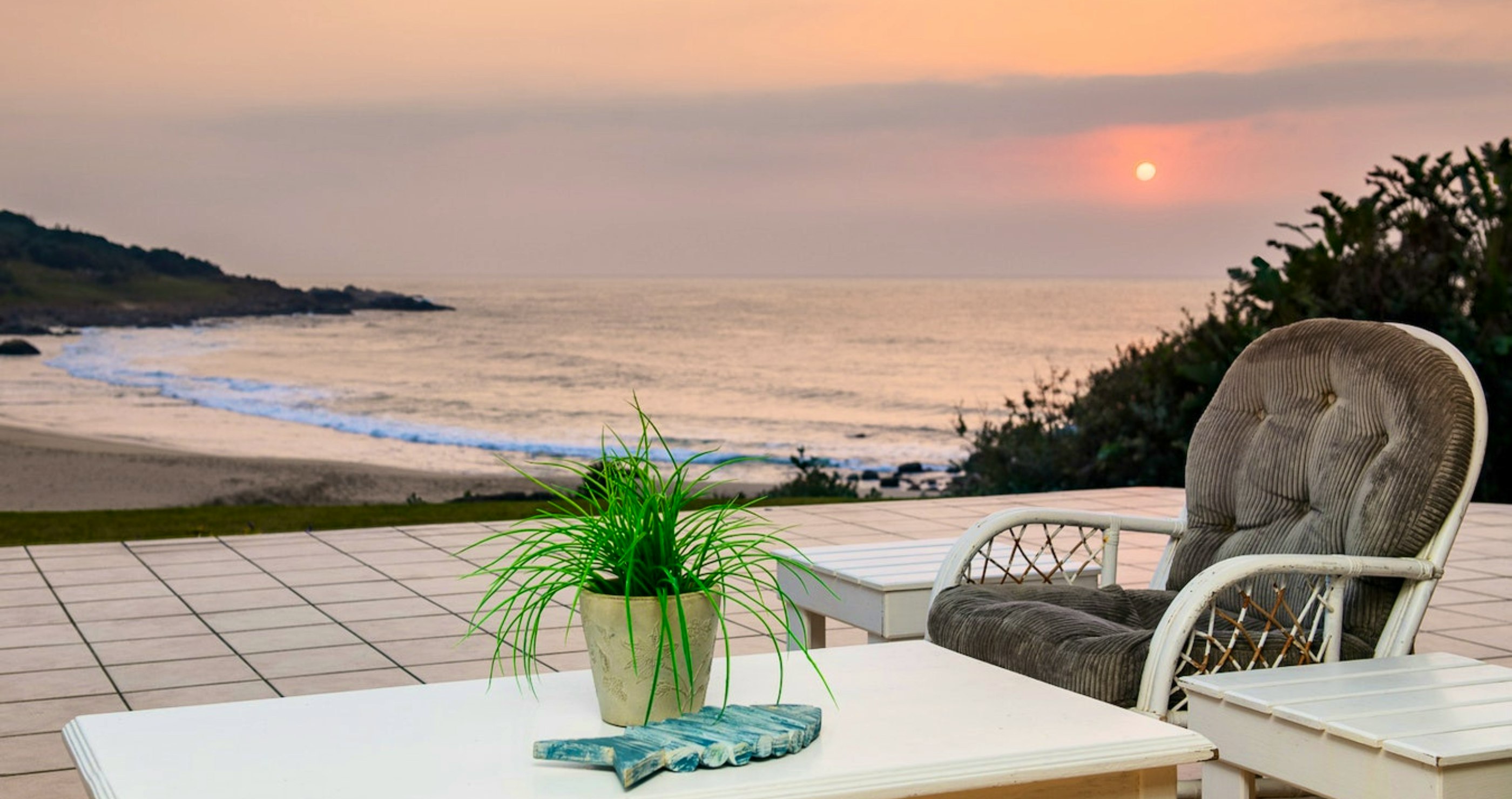 Paradysverblyf aan die subtropiese Hibiskuskus