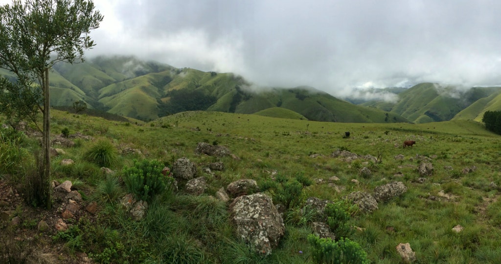 Makhonjwa mountains