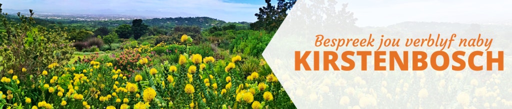 Bespreek jou verblyf naby Kirstenbosch