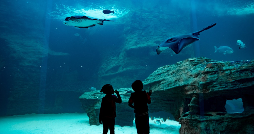 Lekke gesinsvriendelike aktiwiteite in Kaapstad