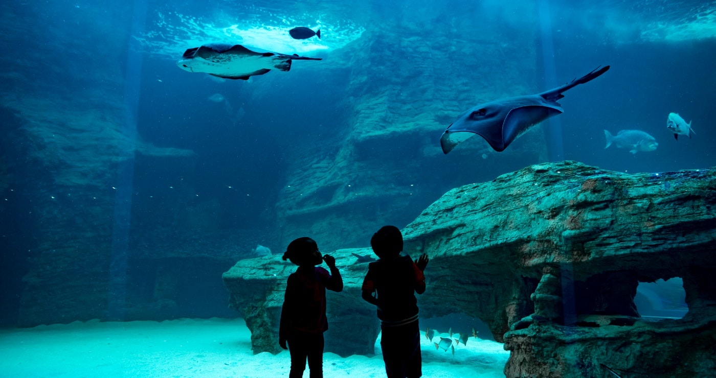 Lekke gesinsvriendelike aktiwiteite in Kaapstad