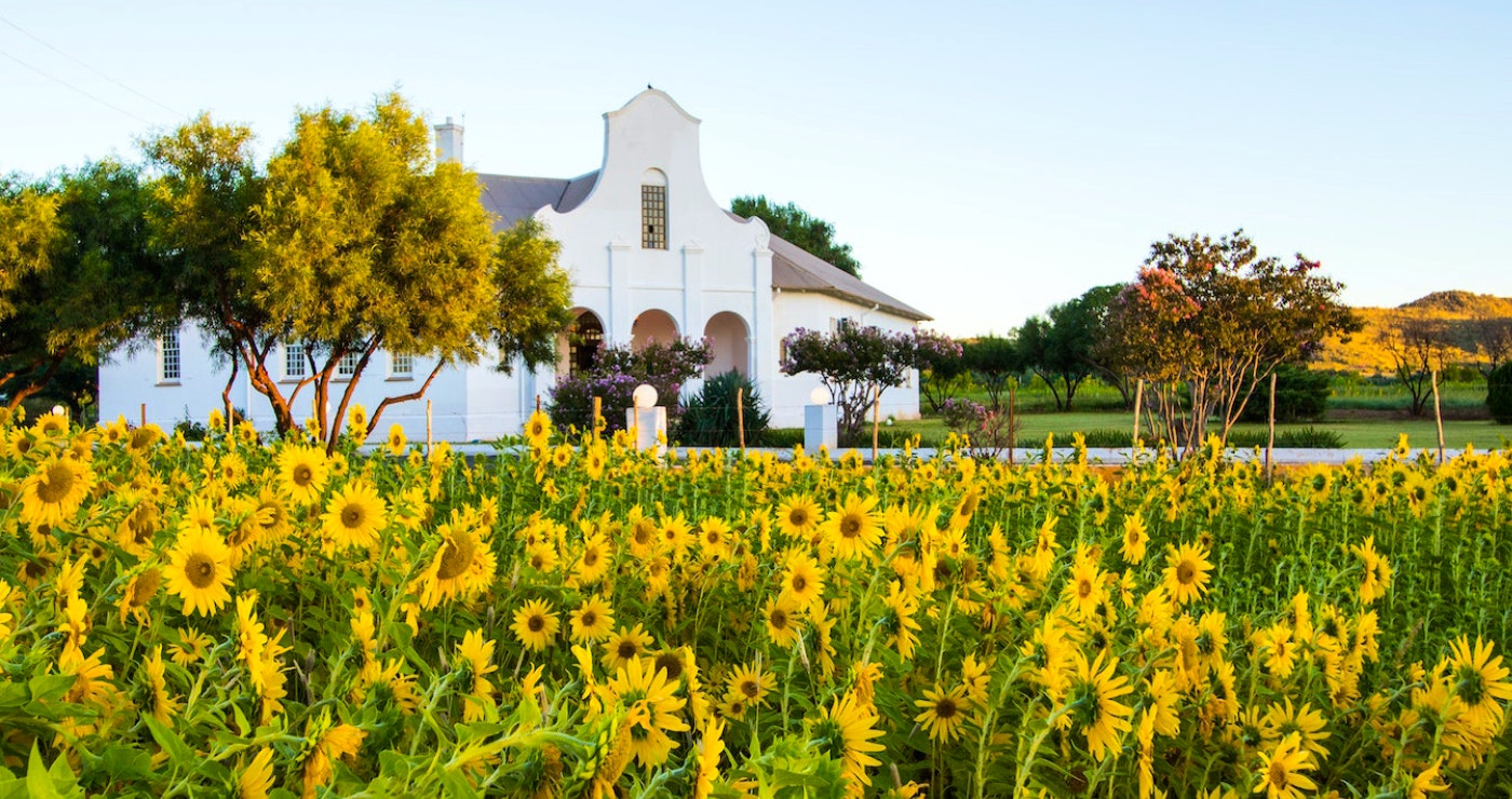 Bethulie Guest Farm