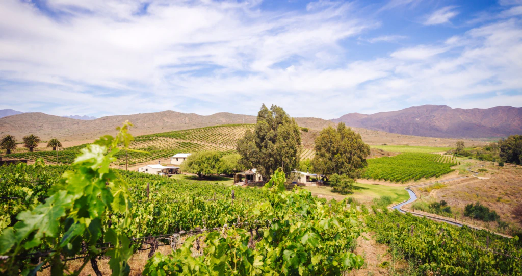 Die Robertson-wynroete