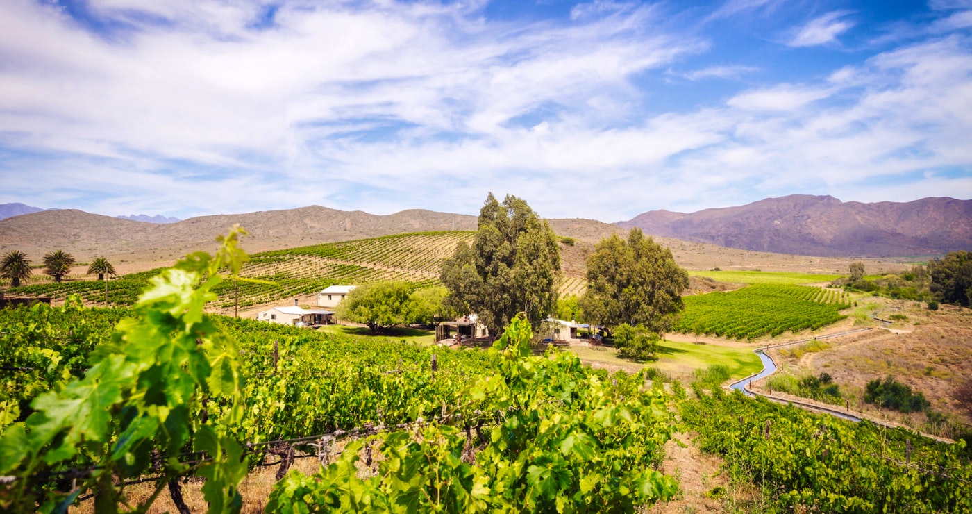 Die Robertson-wynroete