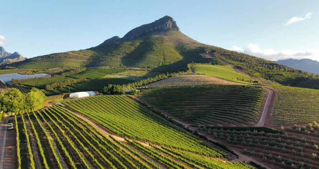 Discovering the Stellenbosch Wine Route