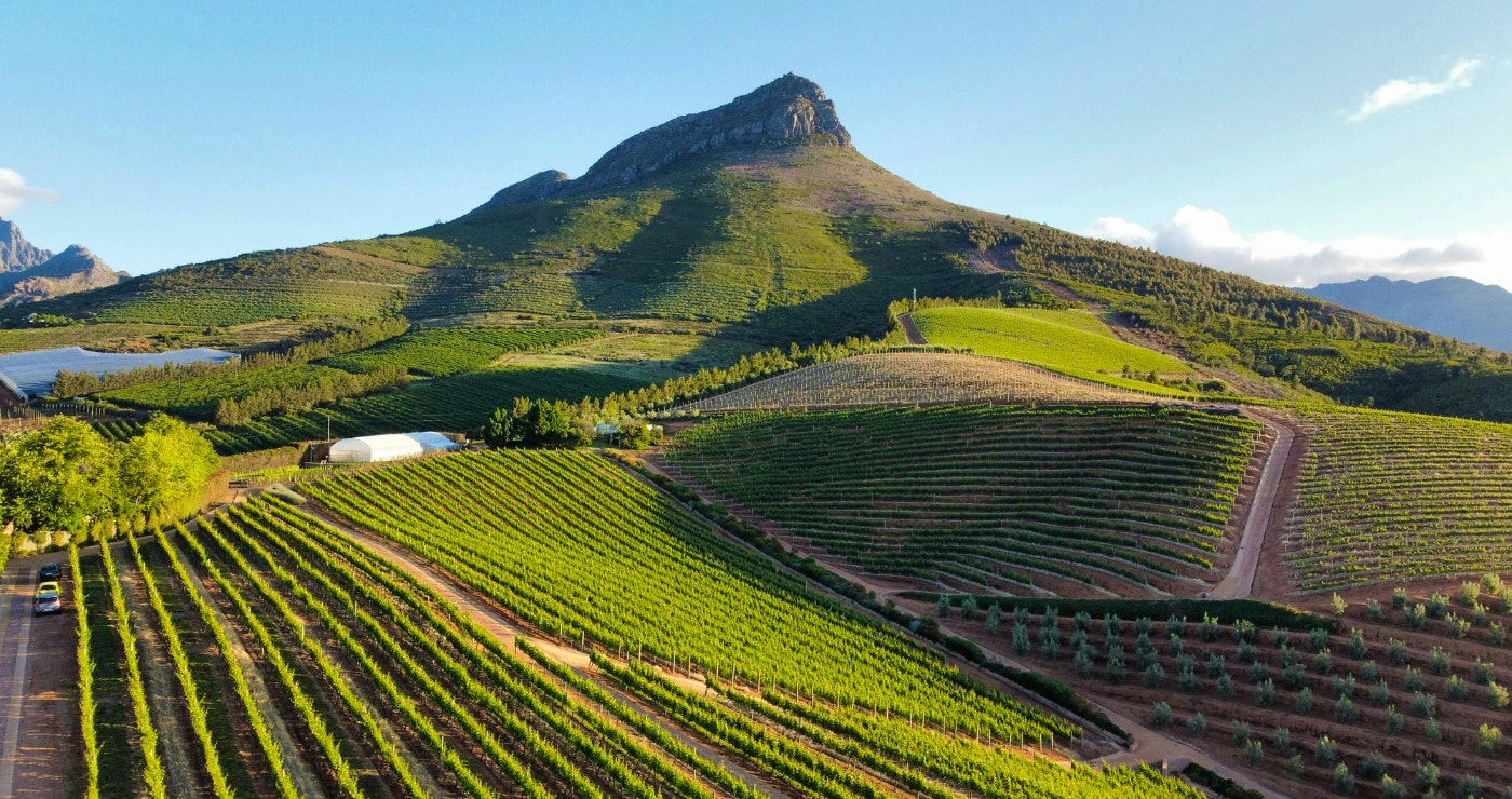 Discovering the Stellenbosch Wine Route