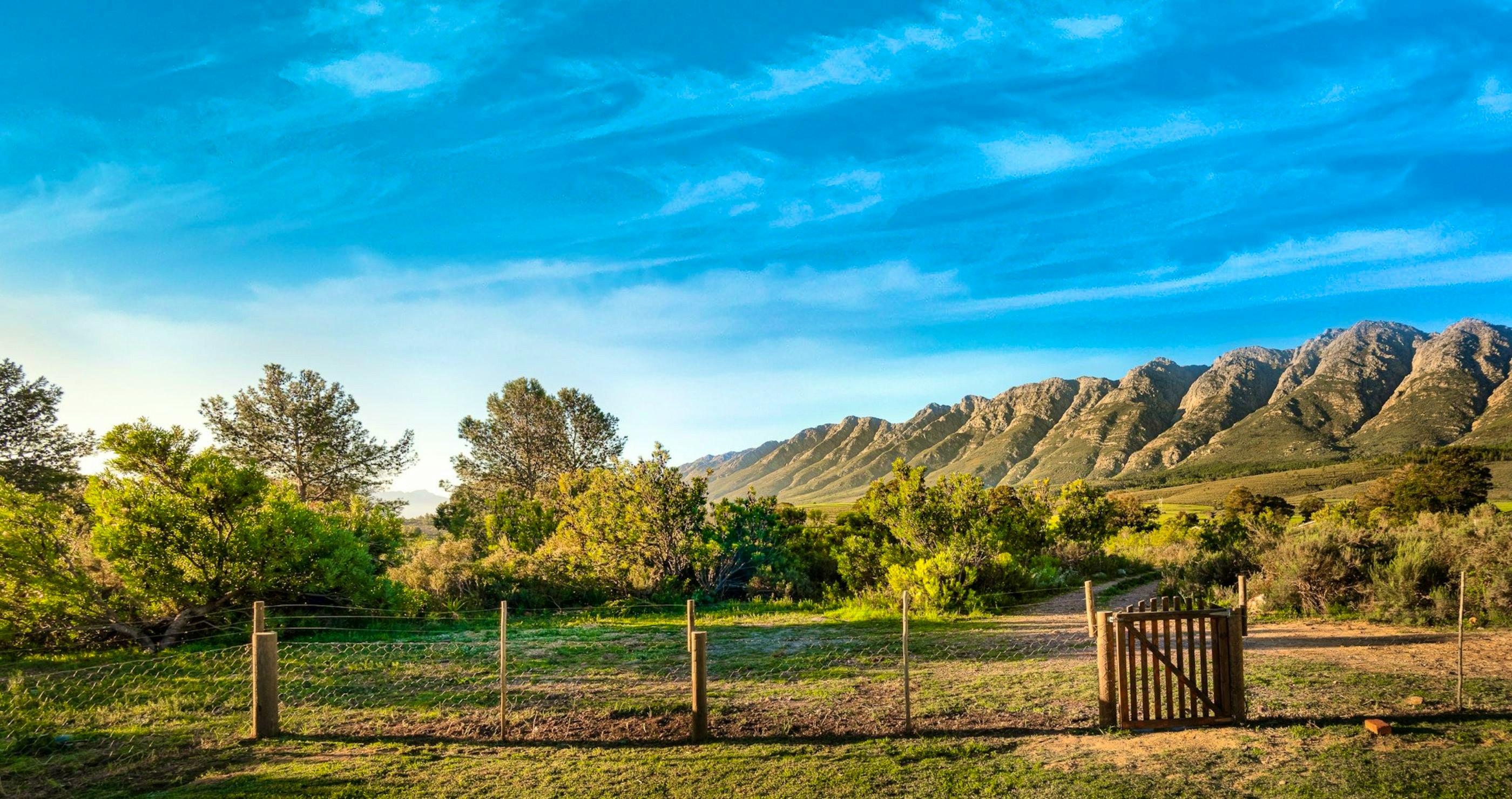 Fun farm stays in the Western Cape