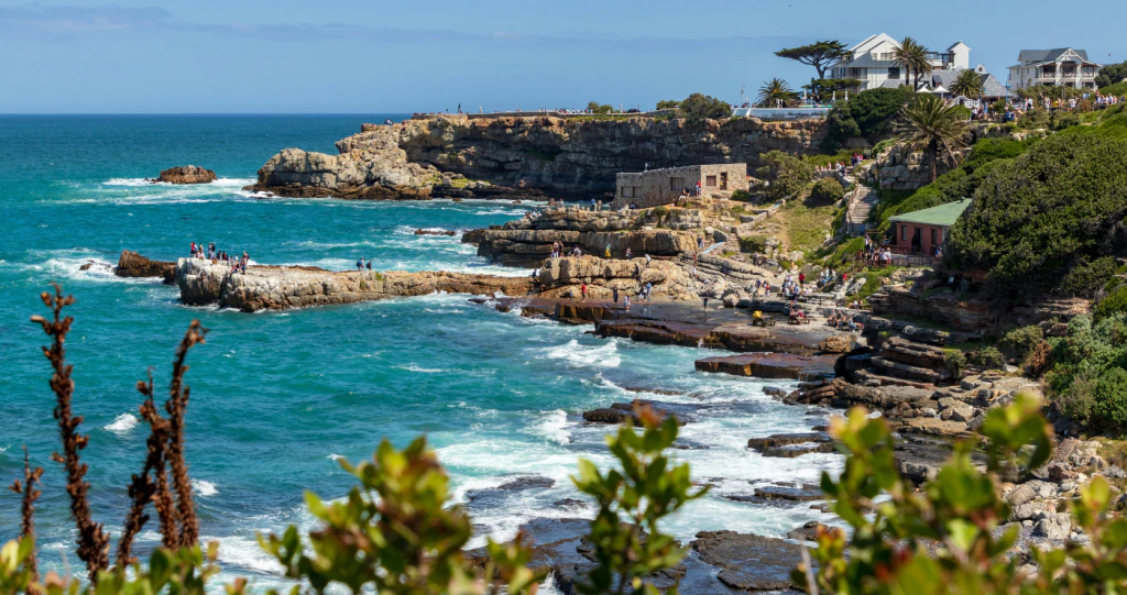 Discover Hermanus: The Ultimate Guide to Beaches, Wine Farms & Attractions