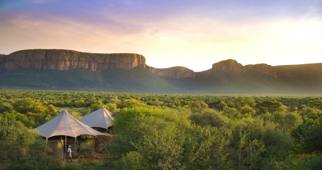 Wildlife Wonders: Game Reserves and National Parks to Visit Before Winter Sets In