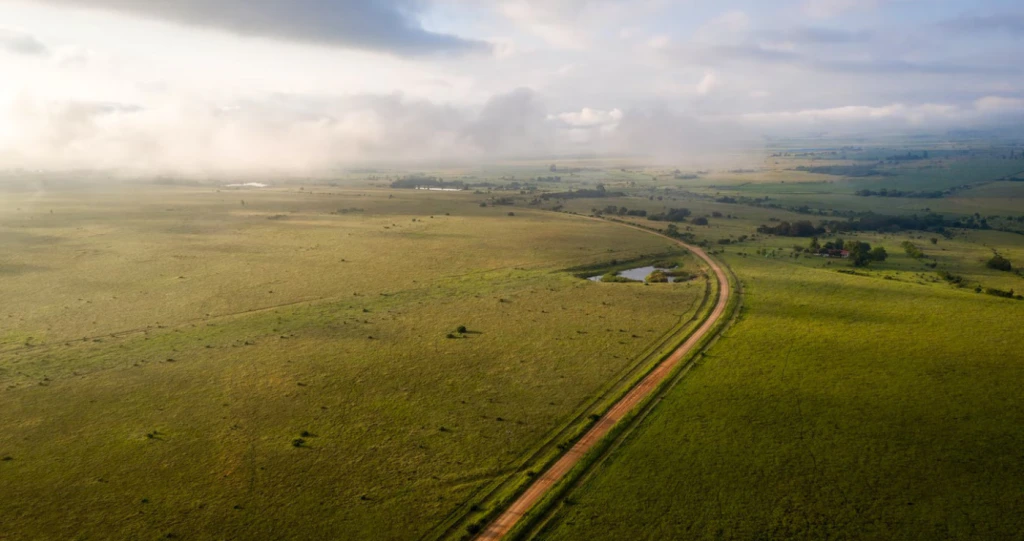 Gewilde roetereise in SA