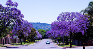 The Best Stays for Business and Leisure Travel in Tshwane (Pretoria)