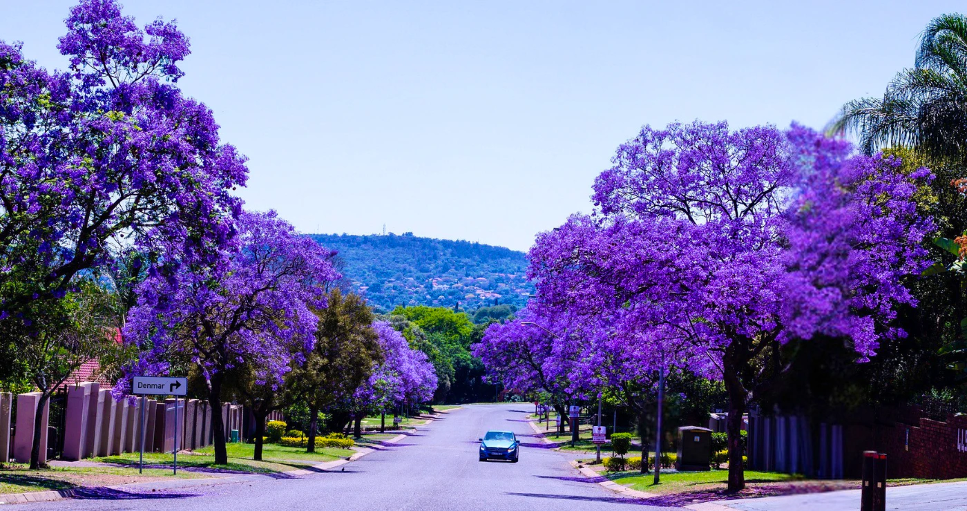 Topverblyf in Tshwane (Pretoria): Die beste opsies vir sakereisigers én vakansiegangers