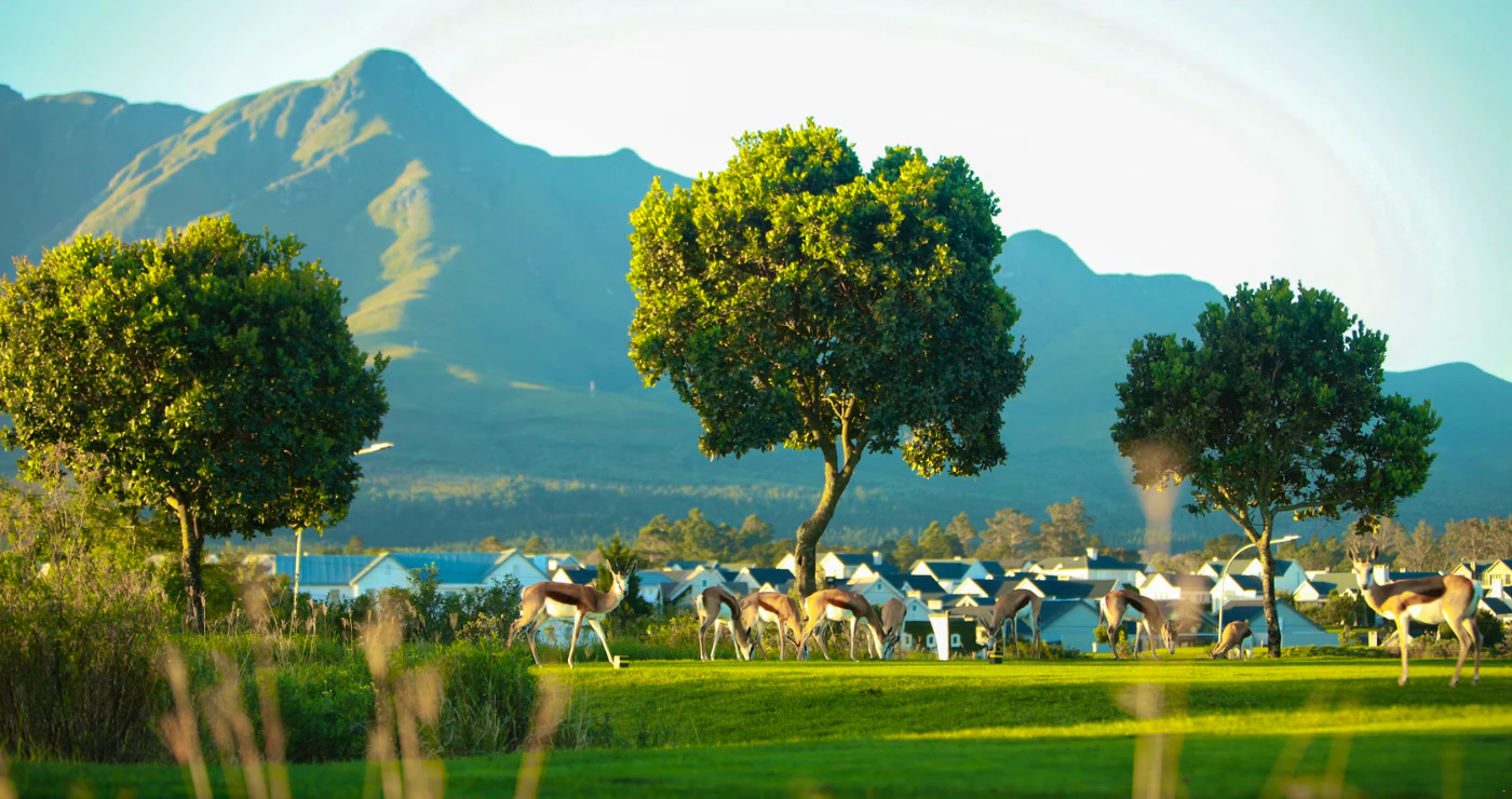 George at a Glance: Top Stays in the Heart of the Garden Route
