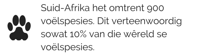 Voeltjies klaar