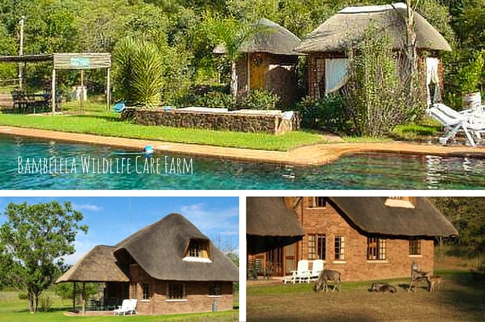 Bambelela Lodge