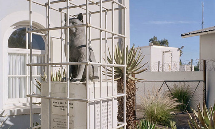 Cat statue by David Goldblatt 