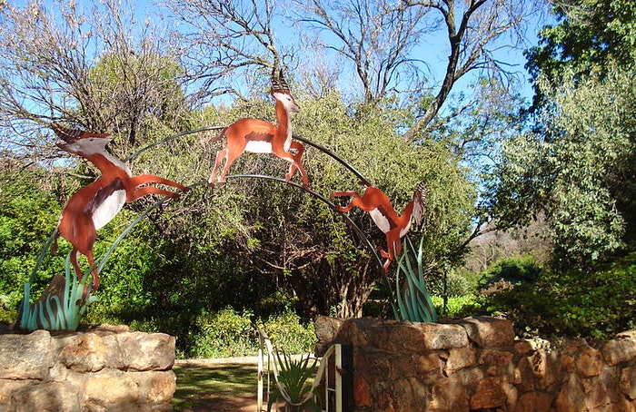 Springbok Park (Wikimedia Commons)
