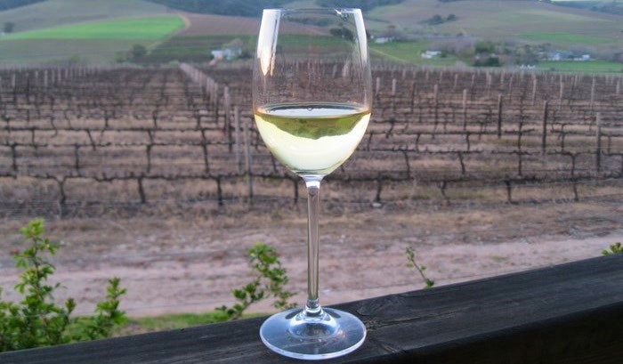 Wine in Stellenbosch (C) Roseanna-McBain