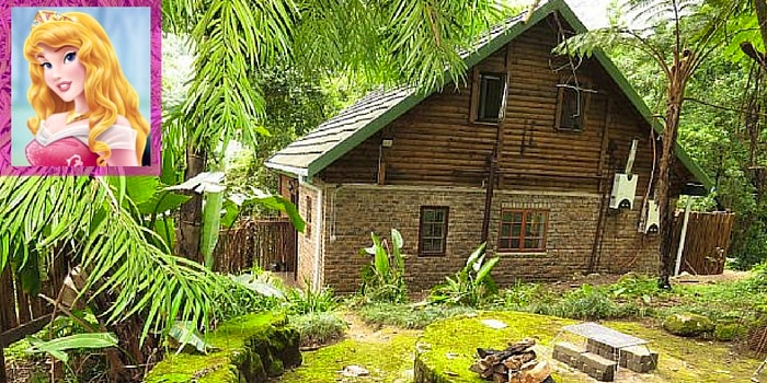 Forest Bird Lodge (TravelGround)