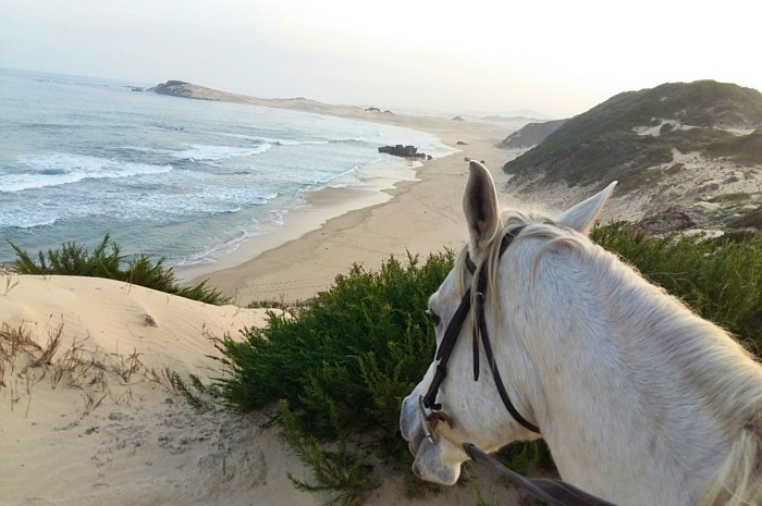 Horse riding outside of Kenton-on-Sea.    Photo: Beachcomber Horse Trails